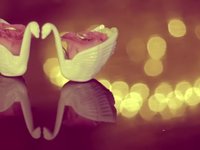 Чехия, Фотограф Alex Maestro, #84345