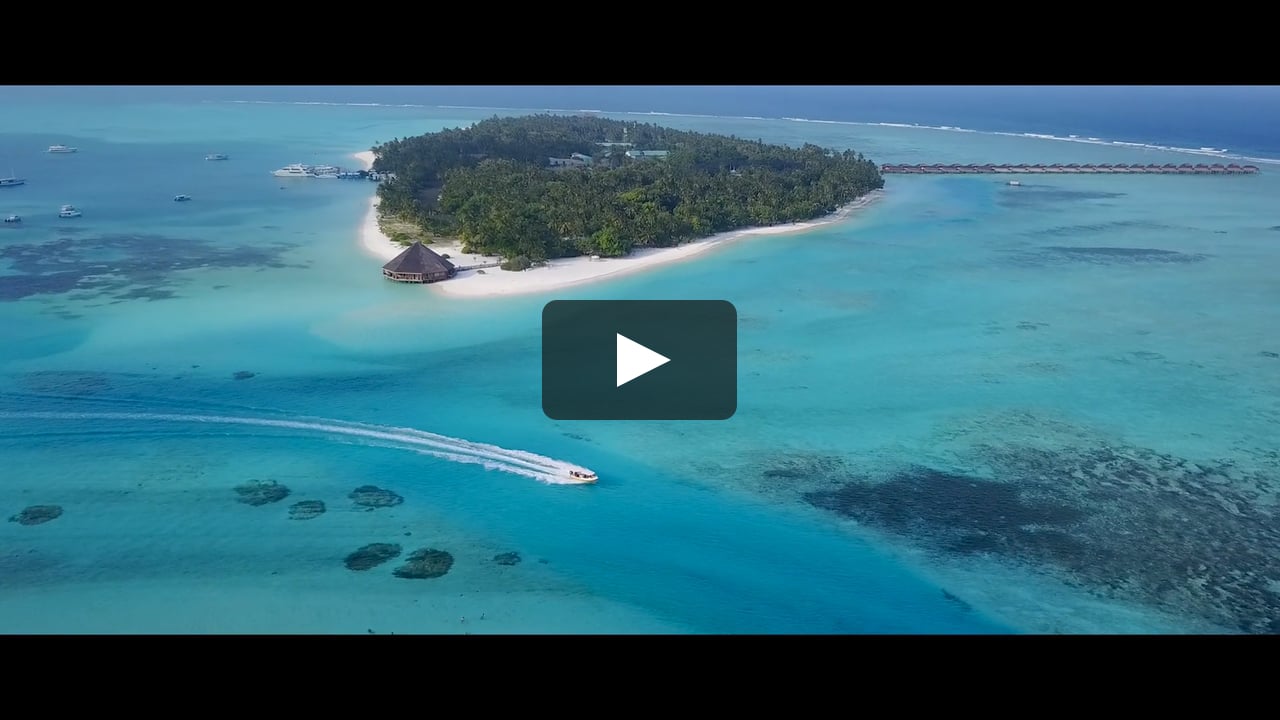 Видео свадьба на Мальдивах