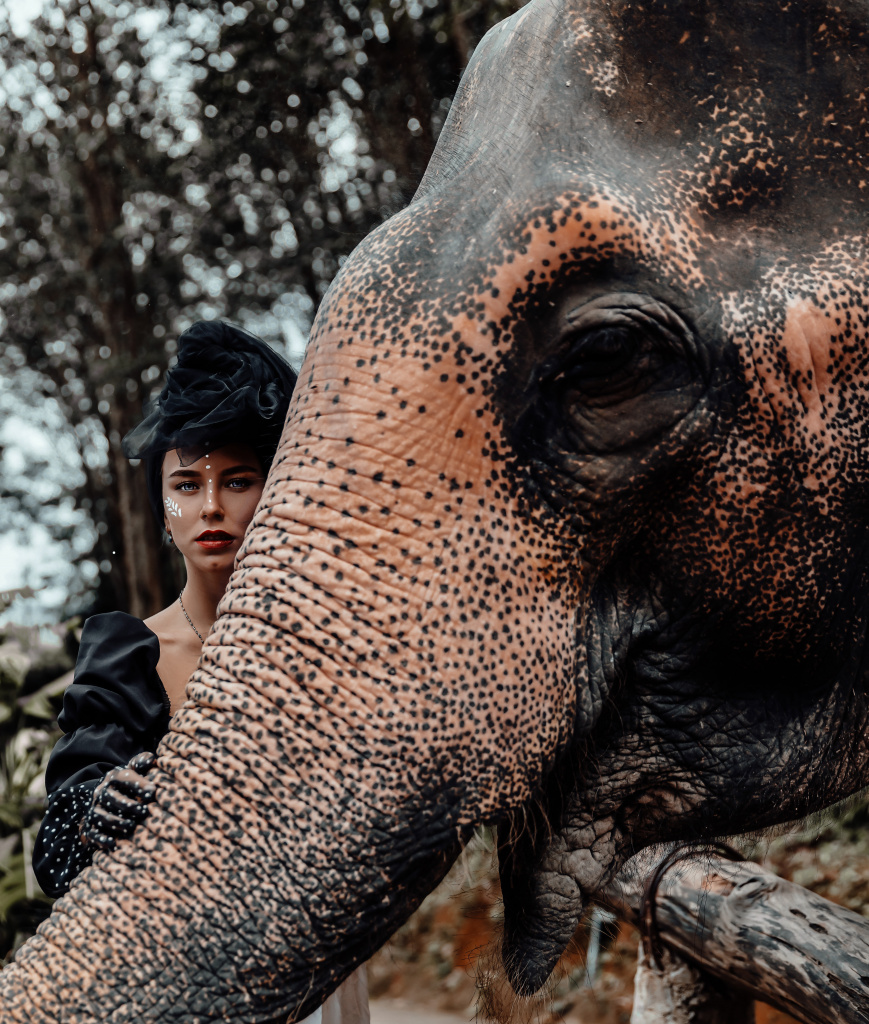 Портрет со слоном