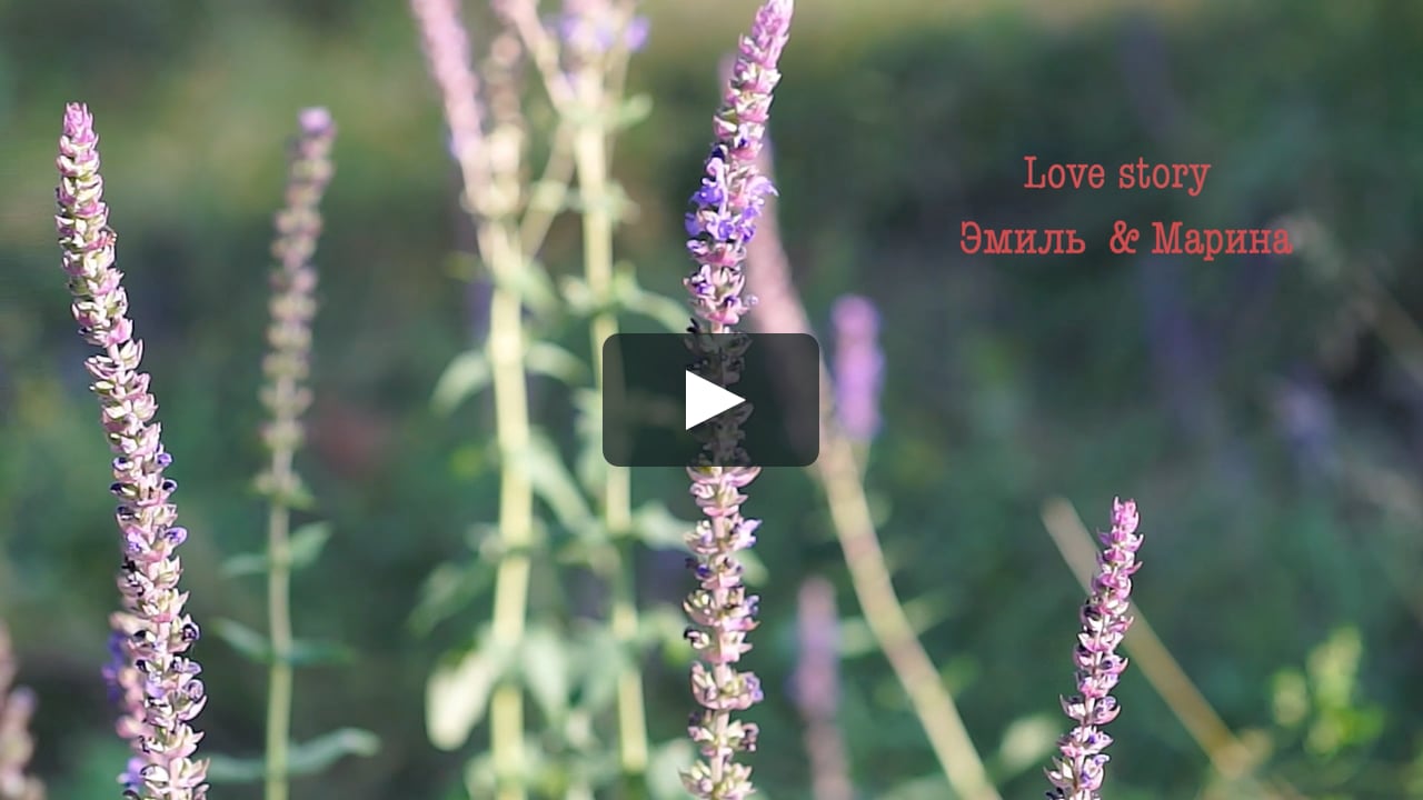 Россия, Фотограф Алла Цуканова, #184177