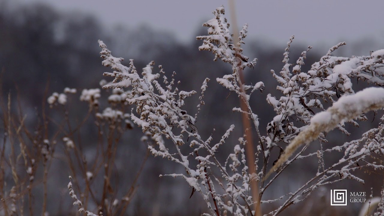 Зимняя зарисовка