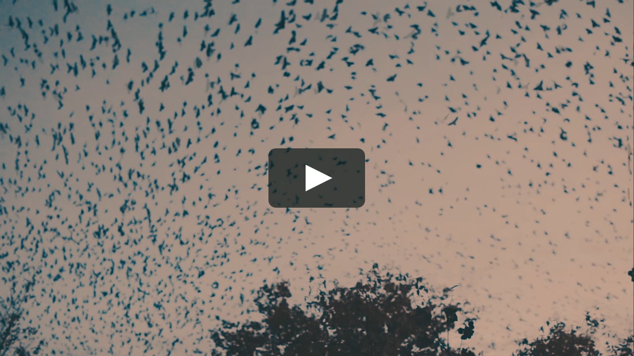 Грузия, Фотограф Ольга Перфилова, #197391