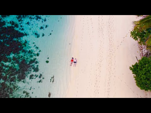 Медовый месяц