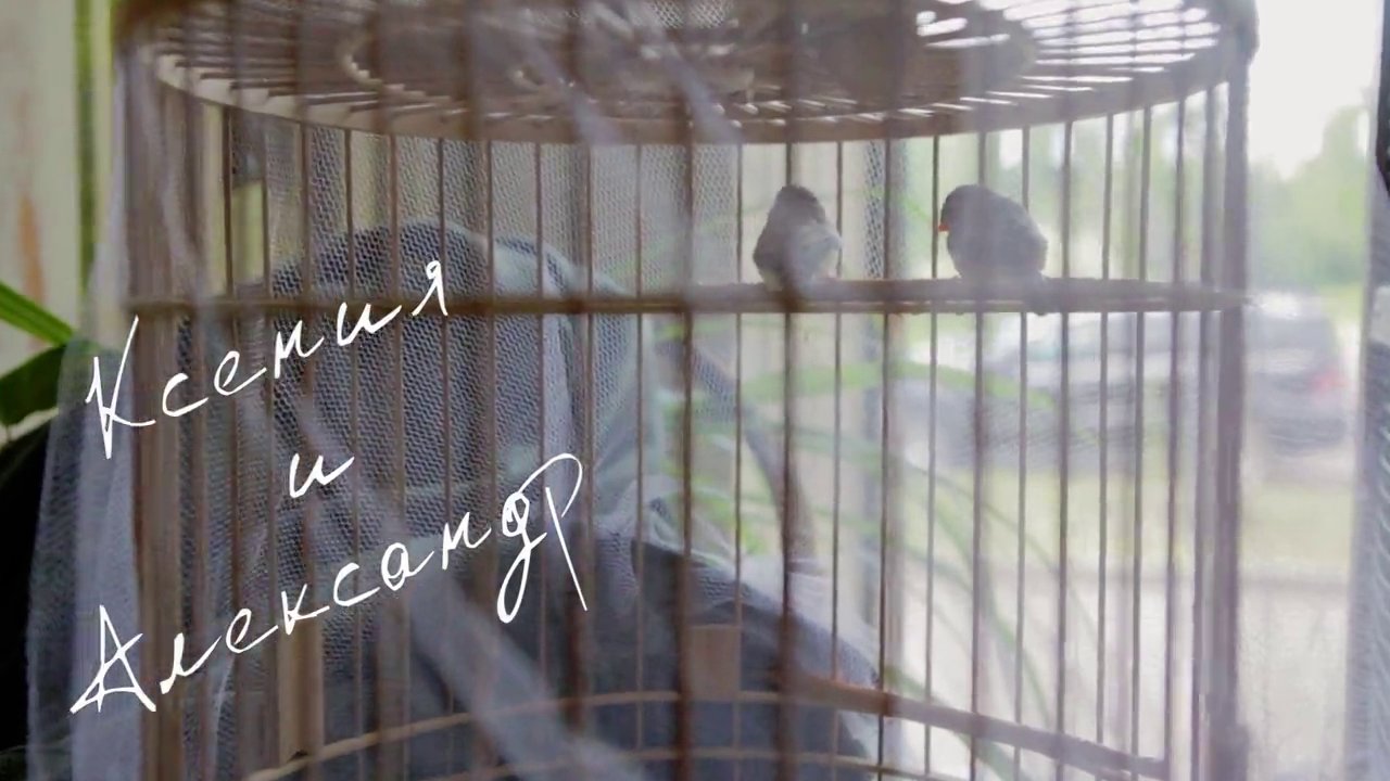 Ксения и Александр