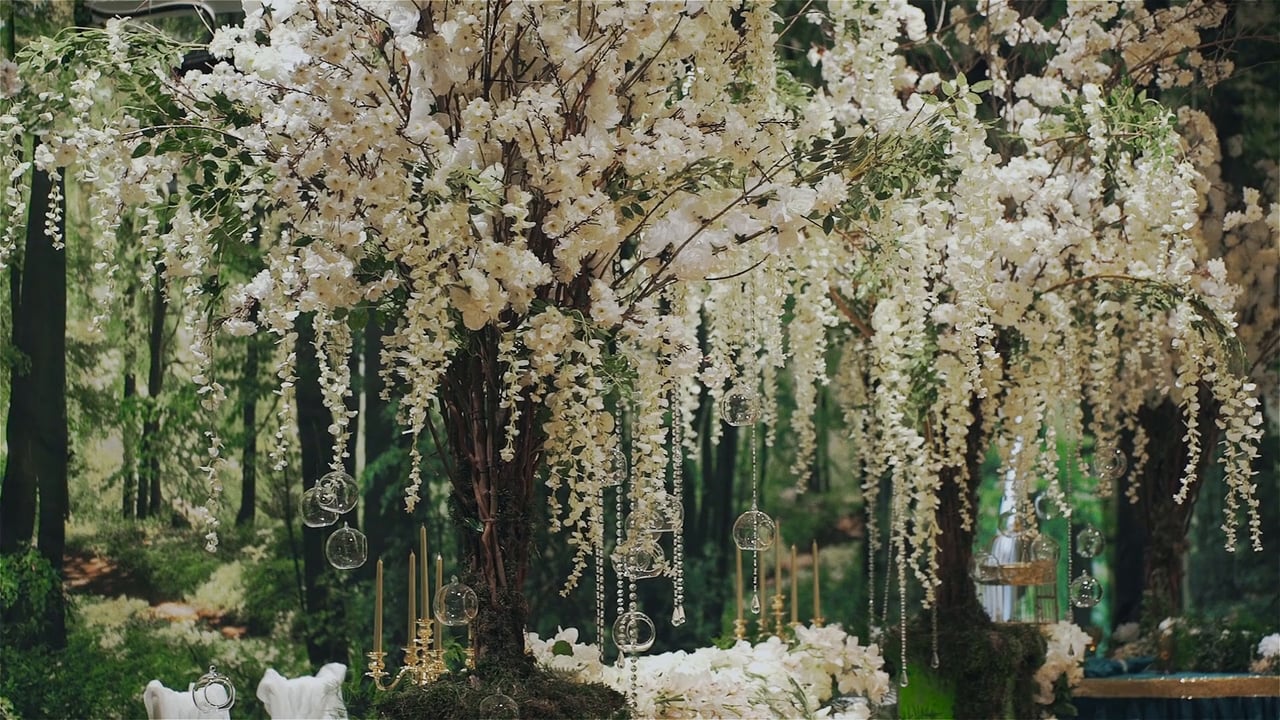 Чехия, Фотограф Вячеслав Арамов, #131117