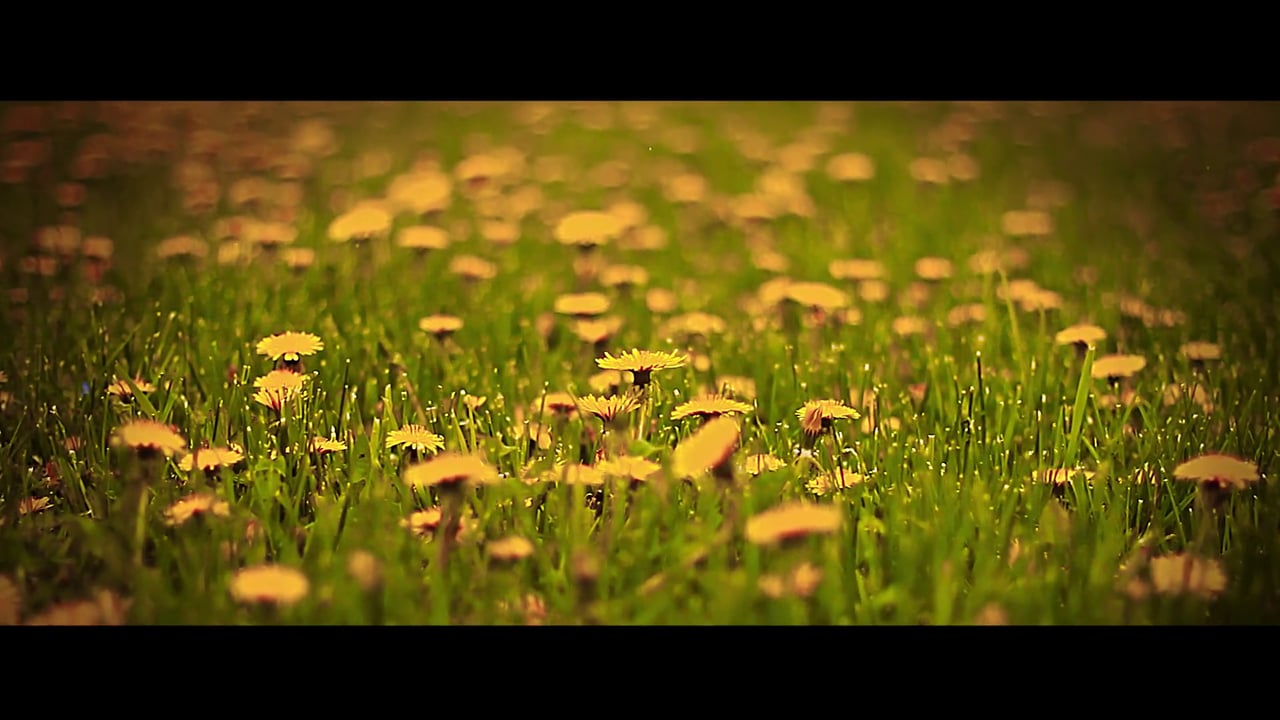 Черногория, Фотограф Анатолий Ларионов, #122070