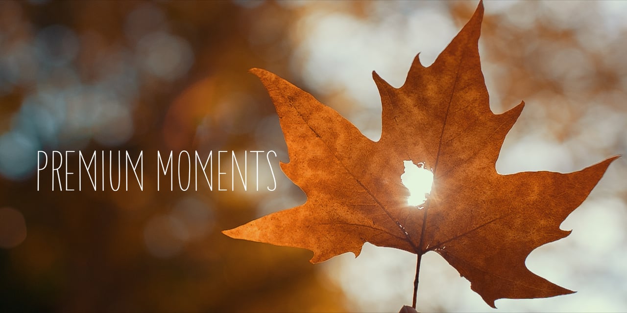 Италия, Фотограф Макс Ковальчук, #135102