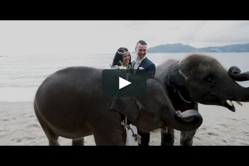 inTropics .com, #1000