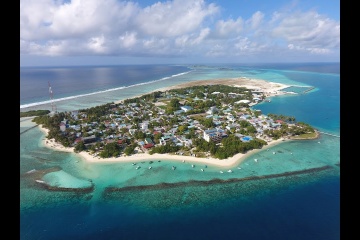 Александр Горный, #1111