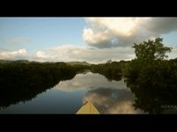 Александр Ильин, #124