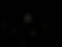 Петр Старостин, #125