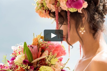 Златана Лекривайн, #1255