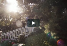 Дмитрий и Анастасия