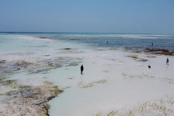 Анна Запорожская, #1351