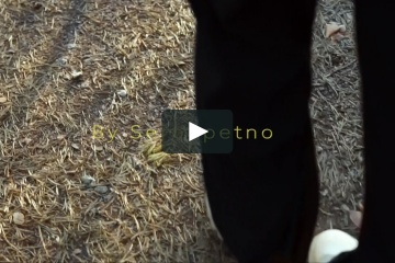 Никита Глазов, #1370