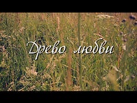 Древо любви {Сергей+Татьяна}