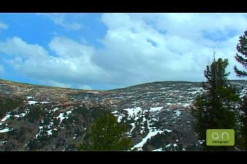 Николай Аргинов, #167