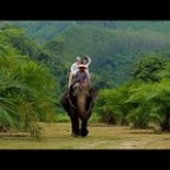 Свадьба в Таиланде