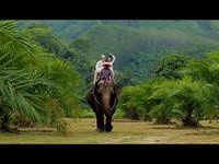 Свадьба в Таиланде