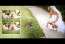 Свадебная Книга Дмитрия и Анастасии