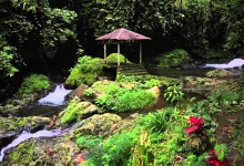 Phuket, Samui, Singapore, Bali.