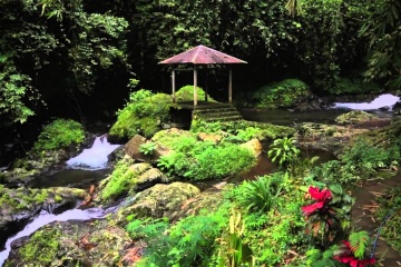 Руслан Лысаков, #479