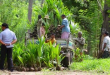 Шри Ланка видео self-drive Sri Lanka