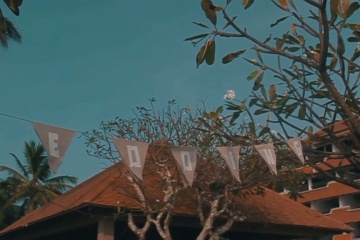 Kino.com.idea Video, #504