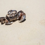 Свадьба на сейшелах, Игорь+Настя, часть 1