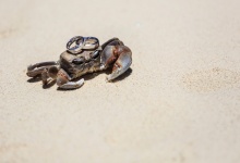 Свадьба на сейшелах, Игорь+Настя, часть 1