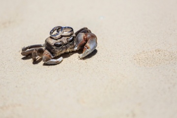 Игорь Михнёв, #576