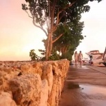 Stan+Alena Caribbean Wedding (Dominican Republic)