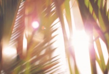 Dasha & Igor (Wedding, Santorini, Greece, clip)