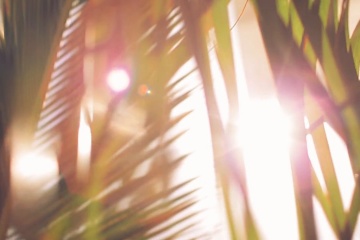 Евгений Халашнюк, #704