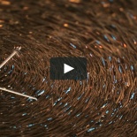 WEDDING A & V (SANTORINI, GREECE)