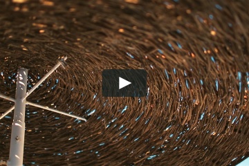 Евгений Добролюбов, #800