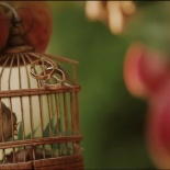 RETUSH | WEDDING | LOVE STORY | СВАДЬБА В УКРАИНЕ | ПОЛТАВА