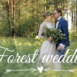 Forest wedding