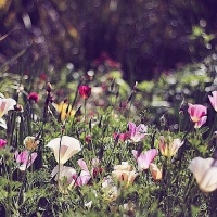 Фотограф Ольга Майская | Отзывы