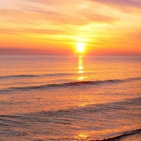 Фотограф Екатерина Федотова | Отзывы