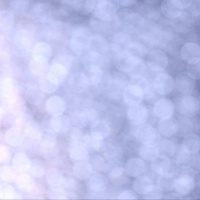 Фотограф Алина Майборода | Отзывы