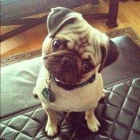 Гоа | Алексей Фабиачи | Гоа