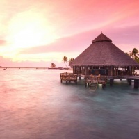 Фотограф Надежда Паршина | Отзывы