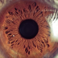 Видеограф илья парубенко | Отзывы