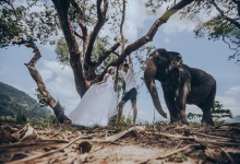 прогулки со слонами