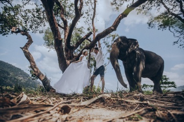 Александра Бодрова, #80036