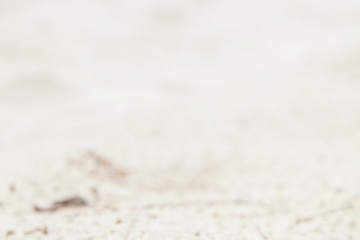 Артем Волчков, #82705