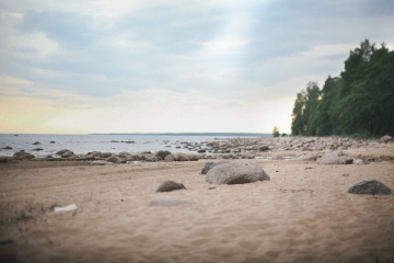 Александр Волков, #86522