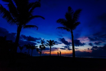 TraveL Studio, #90111