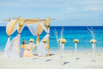 inTropics .com, #90520